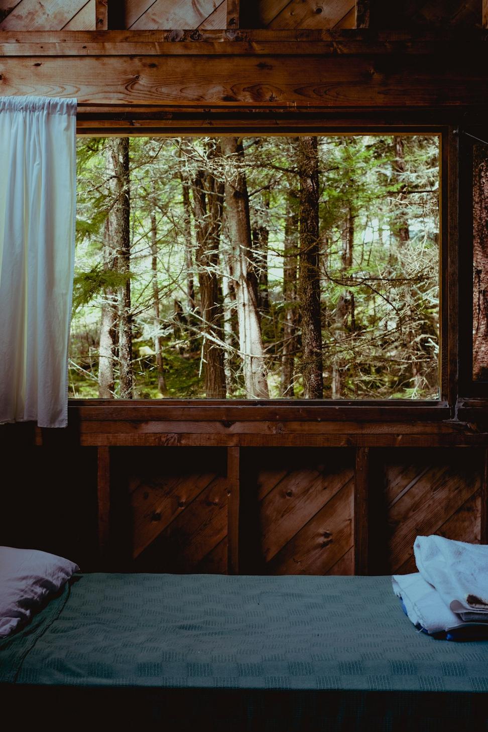 Rustic Forest Cabin